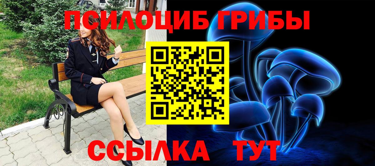 Псилоцибиновые грибы мухоморы  магазин    Черняховск  Вход с VPN  Галлюциногенные грибы мицелий 