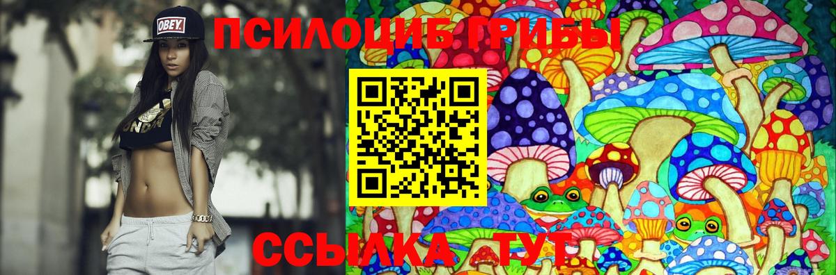 Псилоцибиновые грибы прущие грибы Черняховск